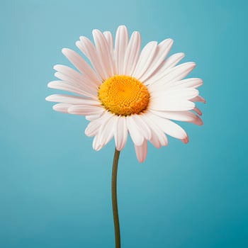 AI Generated A daisy flower with a large pattern on a light background. photo