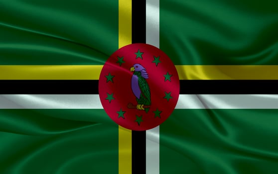 3d waving realistic silk national flag of Dominica. Happy national day Dominica flag background. close up photo