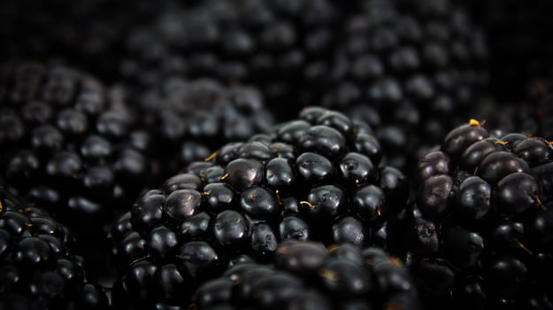 Ripe blackberry close-up. Background of fresh berries. photo