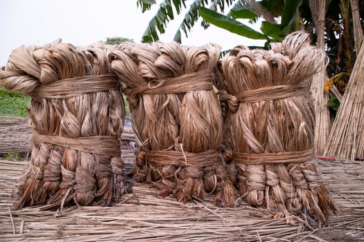 A thick brown  bundle of raw jute has on the ground. This is the Called Golden Fiber in Bangladesh photo