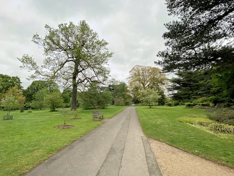A view of a Park in London on a cloudy day photo