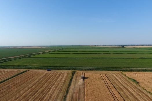 Combine harvester harvest barley photo