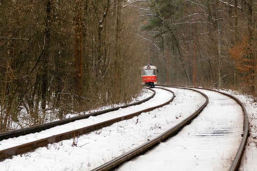 rushing tram through the winter forest photo