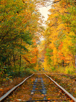 Autumn forest through which an old tram rides Ukraine photo