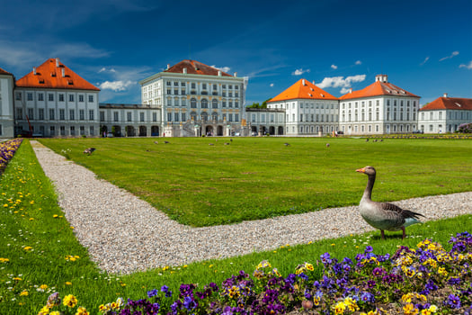 Goose in garden in front of the Nymphenburg Palace. Munich, Bavaria, Germany photo