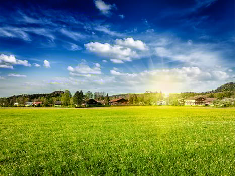 Countryside meadow field with sun and blue sky photo