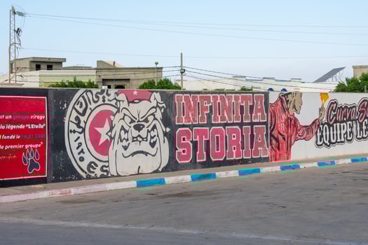 6.11.23 El Jem, Tunisia Street art  Political Graffiti on walls in City of El Jem Tunisia photo