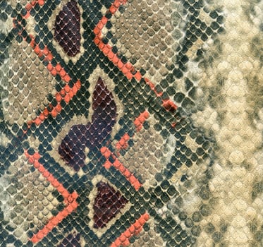 Snake skin leather textured reptile print. Pyton animal leather background. photo