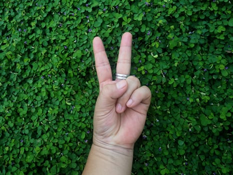 human hand and foot sign on green grass background four leaf cover photo