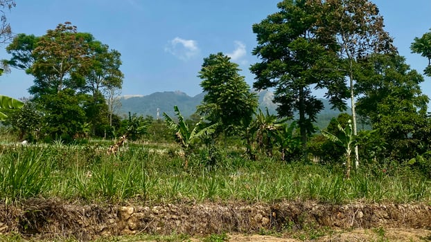 beautiful natural views of mountainous areas photo
