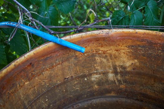 blue irrigation hose and an old rainwater barrel. photo
