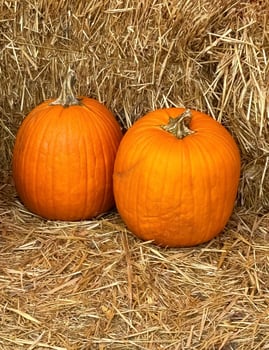 Pumpkins on display Rochester MN 2023 photo