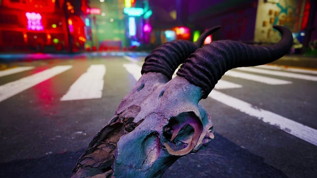 A close up of an animal's head on a street photo