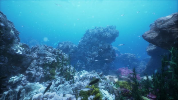 underwater coral reef landscape in the deep blue ocean with colorful fish photo