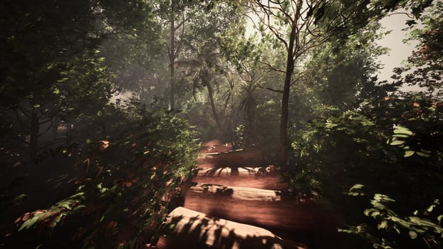 Strolling along a hazy path in the midst of the jungle photo