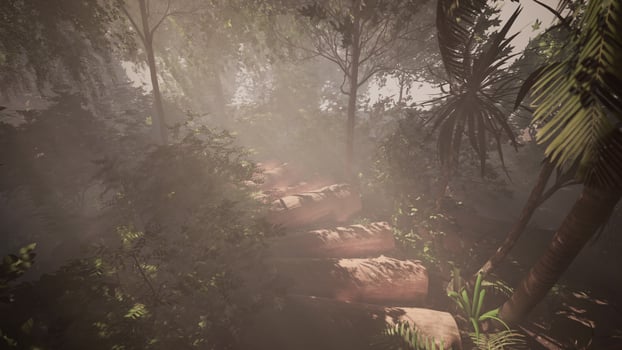 Walking along a foggy path amidst the tropical trees photo