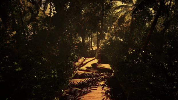 walk through the hazy depths of the jungle photo
