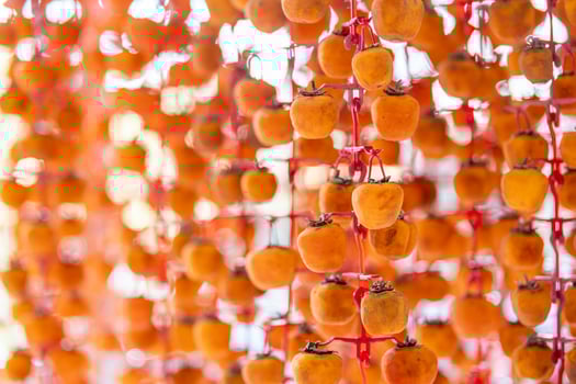 Hanged vietnamese persimmons, traditional food - Dried persimmons in Dalat, Vietnam photo