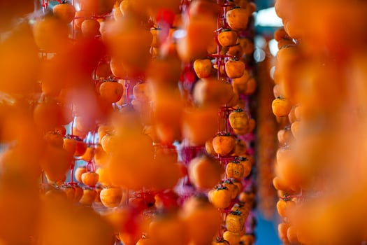 Hanged vietnamese persimmons, traditional food - Dried persimmons in Dalat, Vietnam photo