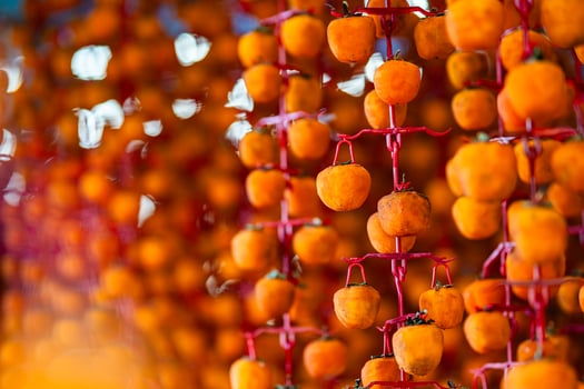 Hanged vietnamese persimmons, traditional food - Dried persimmons in Dalat, Vietnam photo