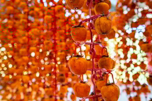 Hanged vietnamese persimmons, traditional food - Dried persimmons in Dalat, Vietnam photo