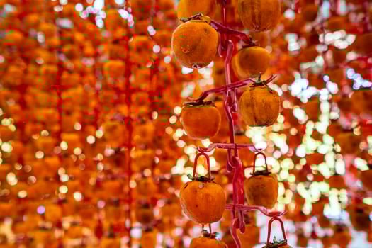 Hanged vietnamese persimmons, traditional food - Dried persimmons in Dalat, Vietnam photo