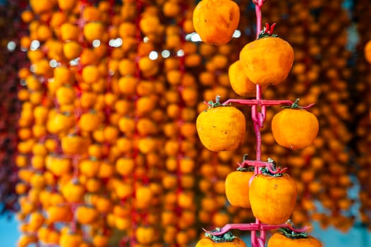 Hanged vietnamese persimmons, traditional food - Dried persimmons in Dalat, Vietnam photo
