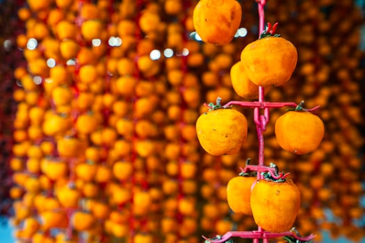 Hanged vietnamese persimmons, traditional food - Dried persimmons in Dalat, Vietnam photo