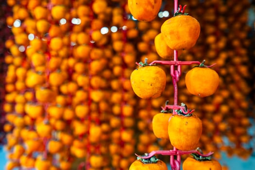 Hanged vietnamese persimmons, traditional food - Dried persimmons in Dalat, Vietnam photo