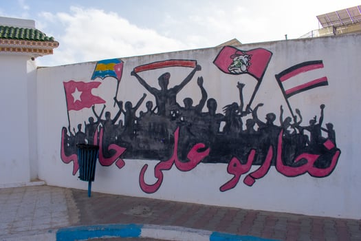 6.11.23 El Jem, Tunisia Street art  Political Graffiti on walls in City of El Jem Tunisia photo