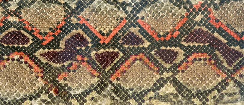 Snake skin leather textured reptile print. Pyton animal leather background. photo