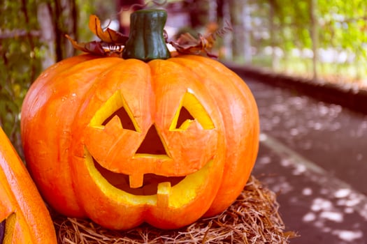 Halloween scary pumpkin photo