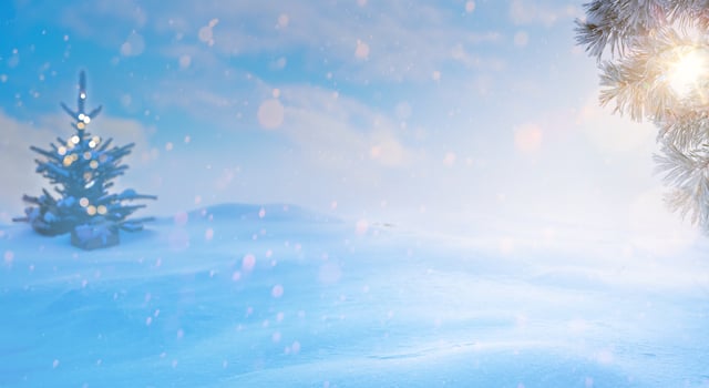 art Blue Christmas tree. Snowy winter Christmas Landscape. Christmas banner design with copy space. photo