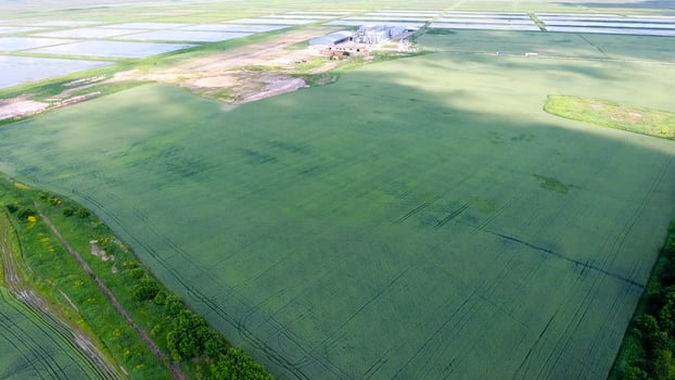 Plant for the drying and storage of grain photo