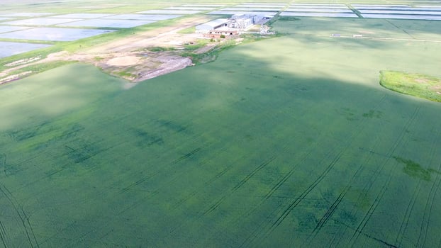 Plant for the drying and storage of grain photo