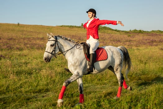 The horsewoman on a red horse. Horse riding. Horse racing. Rider on a horse. photo