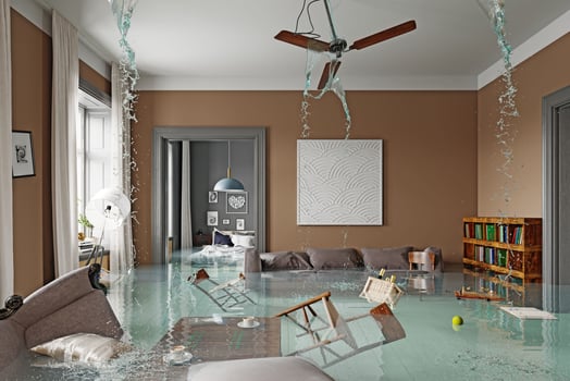 Flooding living interior photo