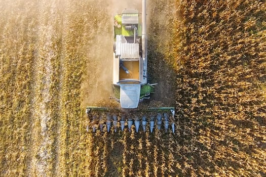 Harvester harvests corn. Collect corn cobs with the help of a co photo