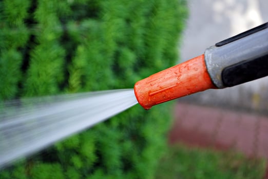 Water spraying from a garden hose photo