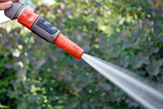Water spraying from a garden hose photo