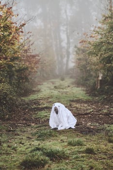 dog is disguised as tiny ghost photo