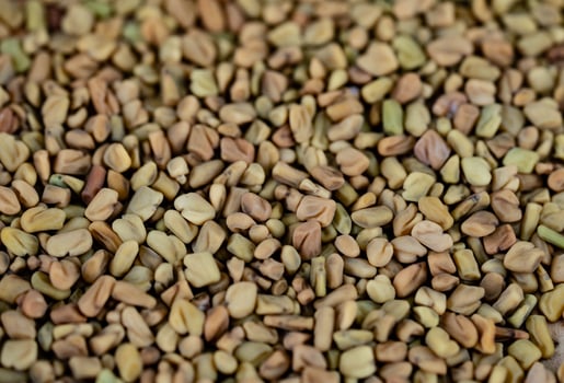 Fenugreek seeds whole or ground on olive wood photo