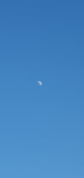a lone airplane flying in the blue sky photo