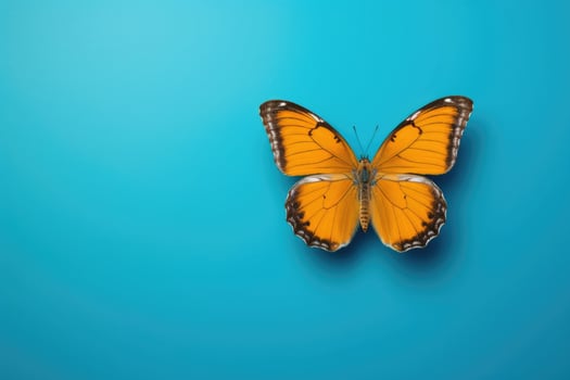 AI Generated Tropical bright nature orange wildlife pattern animal blue leaf wings spring background photo
