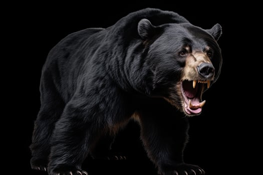 AI generated Realistic black bear clipart photo
