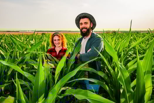 Family agricultural occupation. Man and woman are cultivating corn. They are satisfied with good progress of plants. photo
