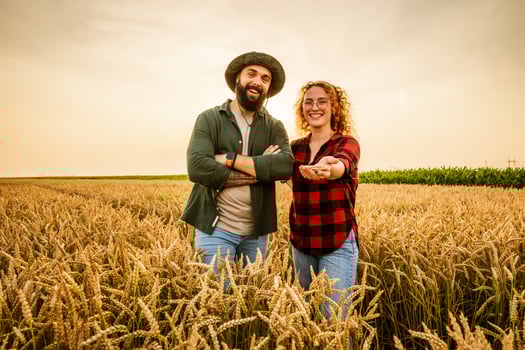 Family agricultural occupation. Man and woman are cultivating wheat. They are satisfied with good progress of plants. photo