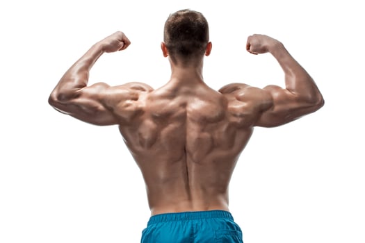 Image of muscle man posing in studio photo