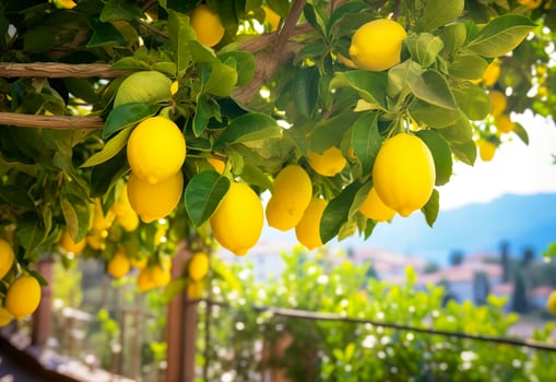 AI generated Lemons growing in a sunny garden on Amalfi coast in Italy. AI Generated photo
