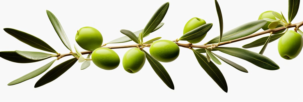 AI generated Olive tree branch, green olives and leaves on white background. AI Generated. photo